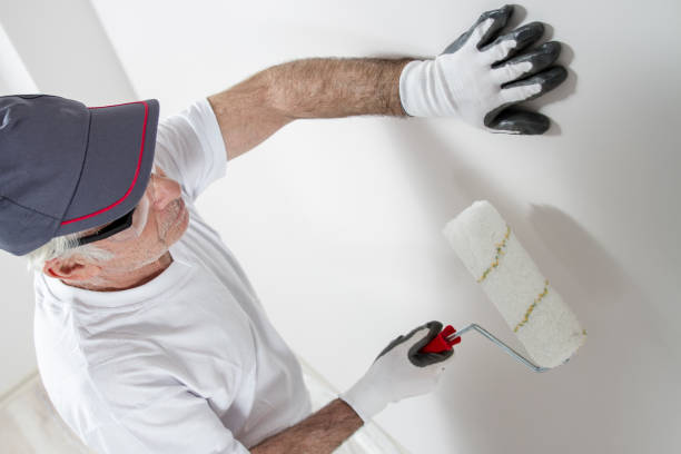Best Mold Removal for HVAC Installations  in Fairlawn, VA