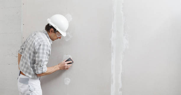 Best Airborne Mold Testing  in Fairlawn, VA